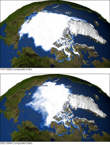 [Arctic+Ice+bottom.jpg]