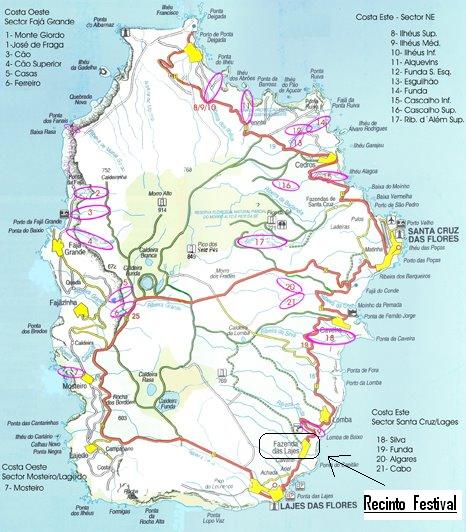 Festival Flores põete a mexer Pessoas inscritas na volta à ilha das