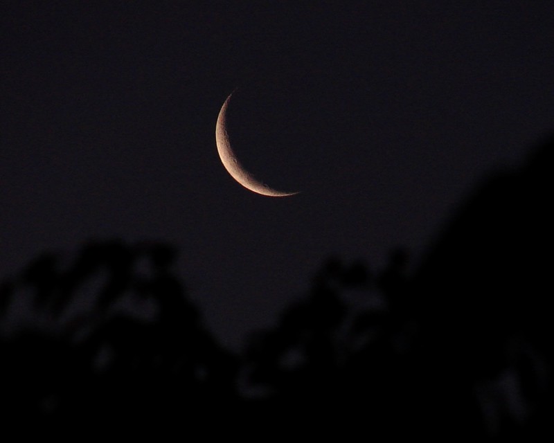 Crónicas de Urano: CUARTO DE LUNA