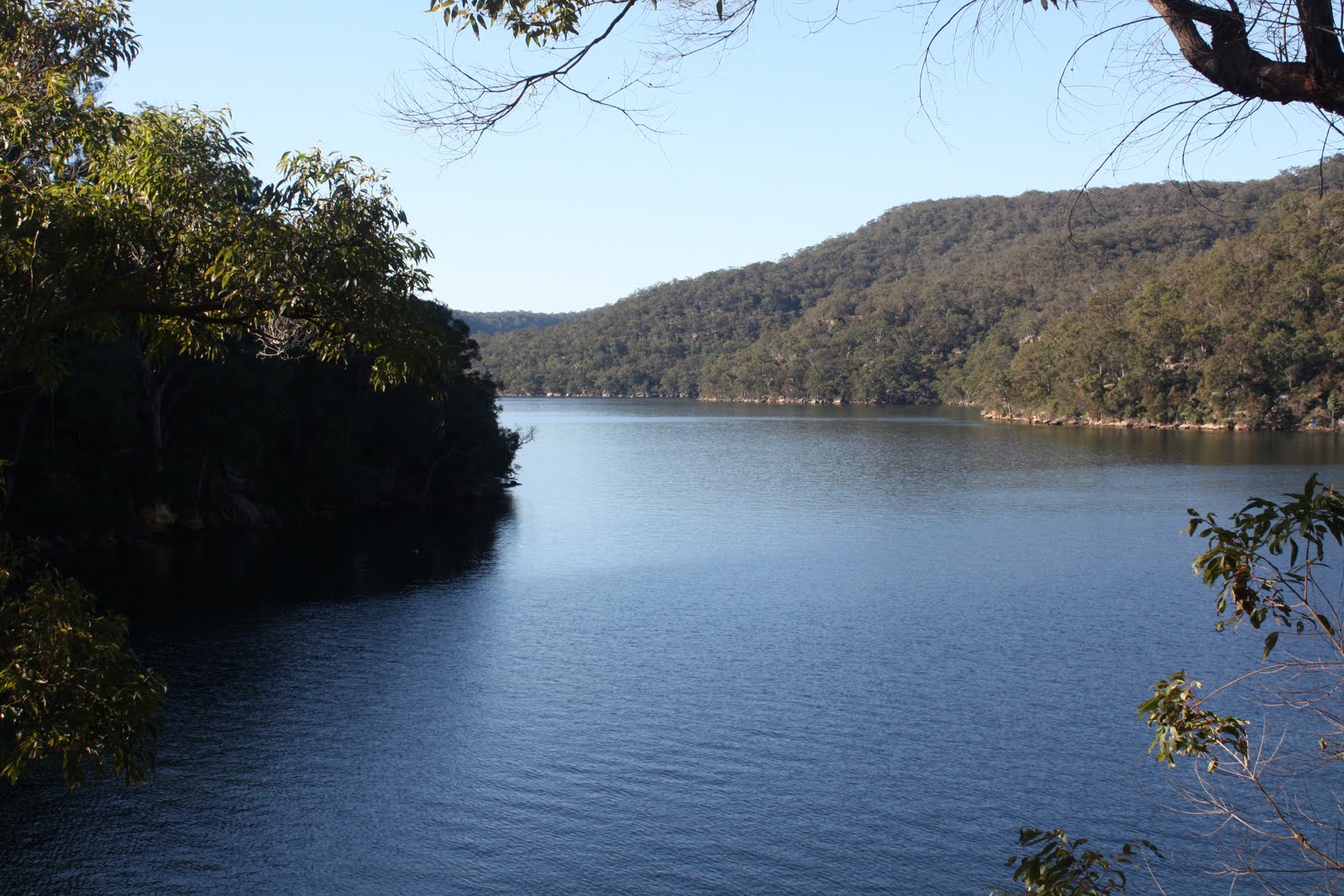Chookie's Back Yard Cowan Creek Bushwalk
