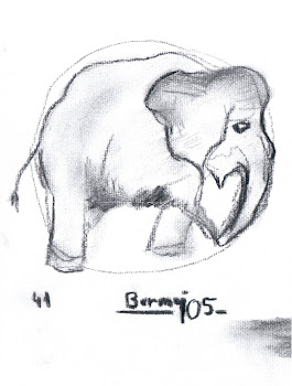 "Apunte de elefante al carboncillo", por Antonio