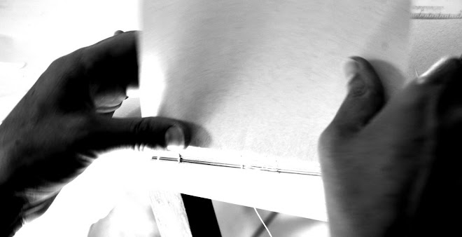 cadernos afetivos: Le Petit Chaperon Rouge :: Warja Lavater