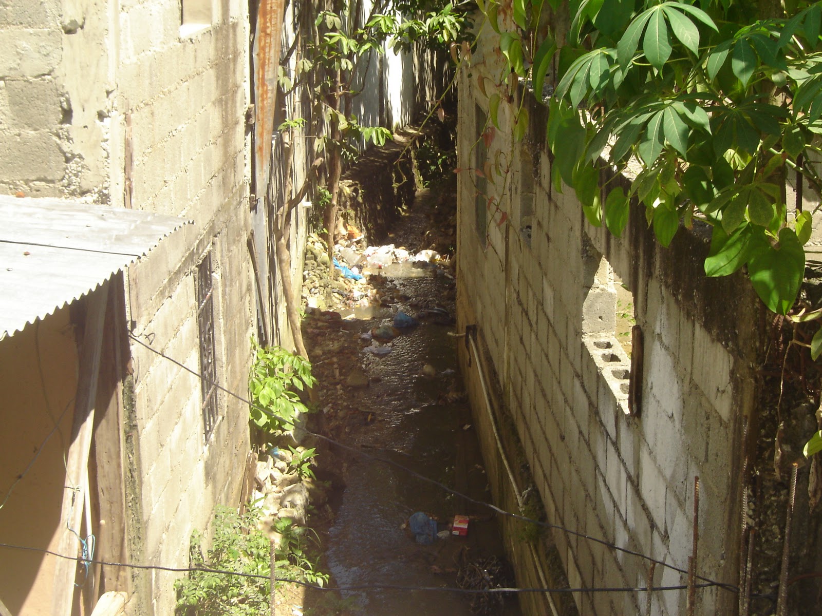 BRISAS DEL NORTE DE GUARICANO CAÑADA PARALELA A LA CALLE PEDRO LIVIO