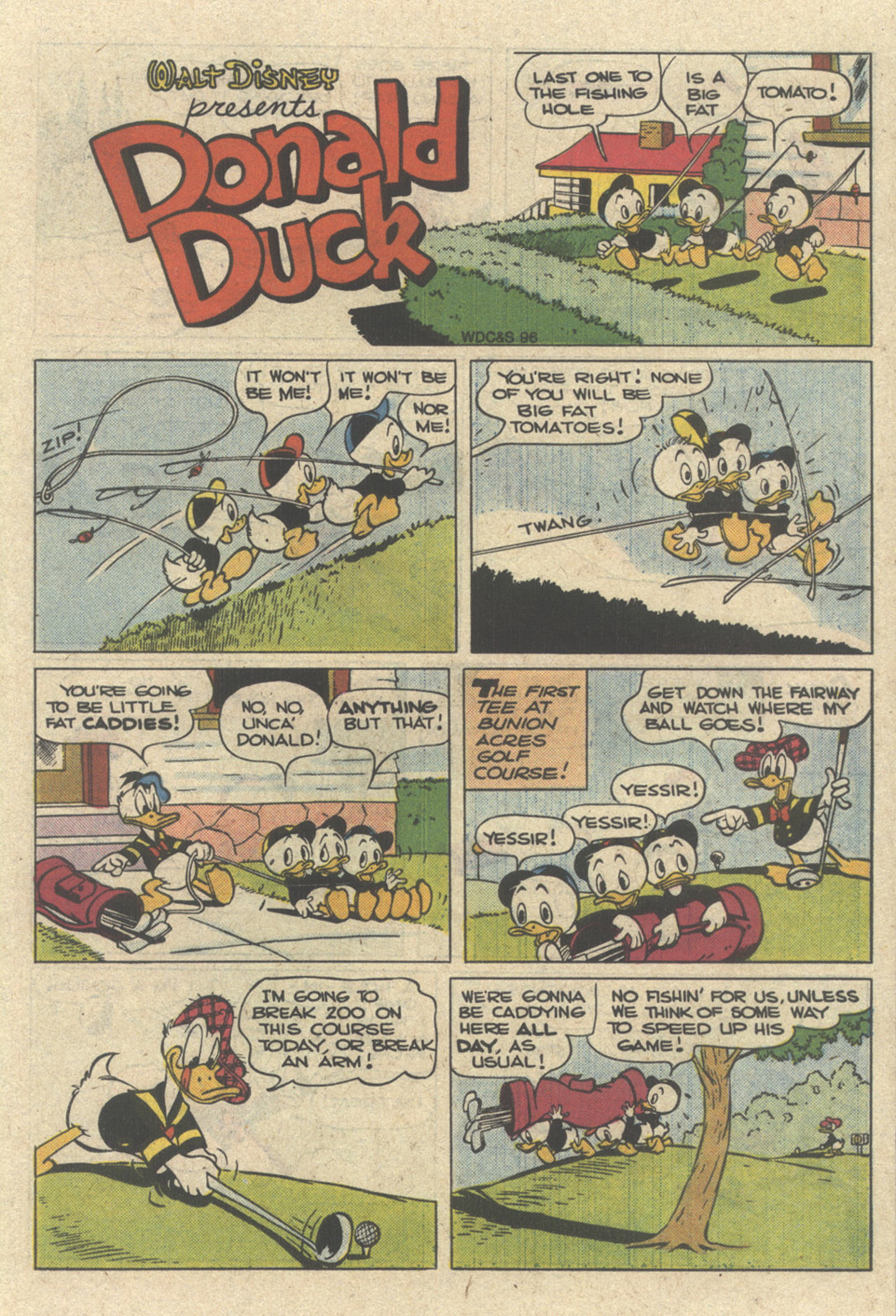 Walt Disney's Donald Duck (1952) issue 264 - Page 22