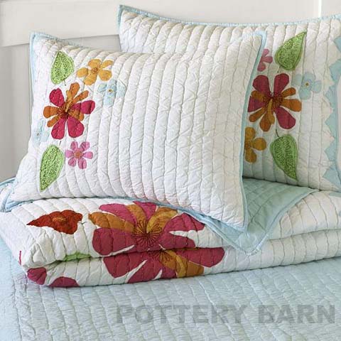 [IC96_potterybarnteen_bedding.jpg]