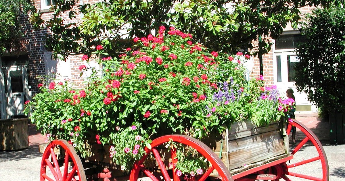 Fresh Flowers Savannah Ga Springtime Flowers in Savannah, and though