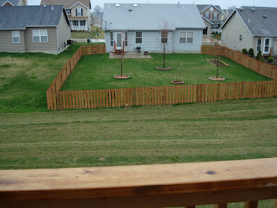 Mr. and Mrs. Z's New House: April 2009