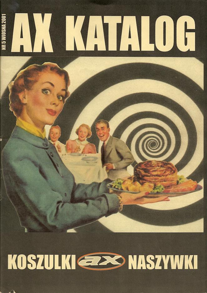 POLSKI HC/PUNK, NEW WAVE i OKOLICE 1977 2019 CHRONOLOGIA 2001 ziny