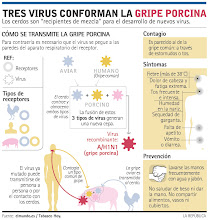 Virus N1H1