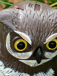 head bird poop owl england minute wait right