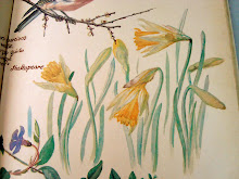 esos narcisos que aún a las golondrinas aventajan,y en flor afrontan al ventoso marzo