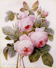 Las Rosas de Pierre-Joseph Redouté