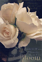 Carolina Coronado...La luz del día se apaga,rosa blanca sola y muda...