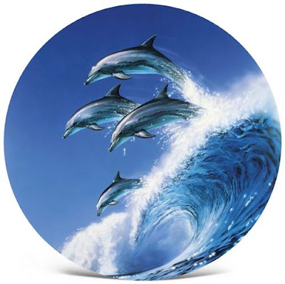 Dolphin art | Animal Planet Pictures
