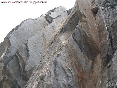 Blog Trias Malaysia Struktur geologi dalam  Formasi Kaling 