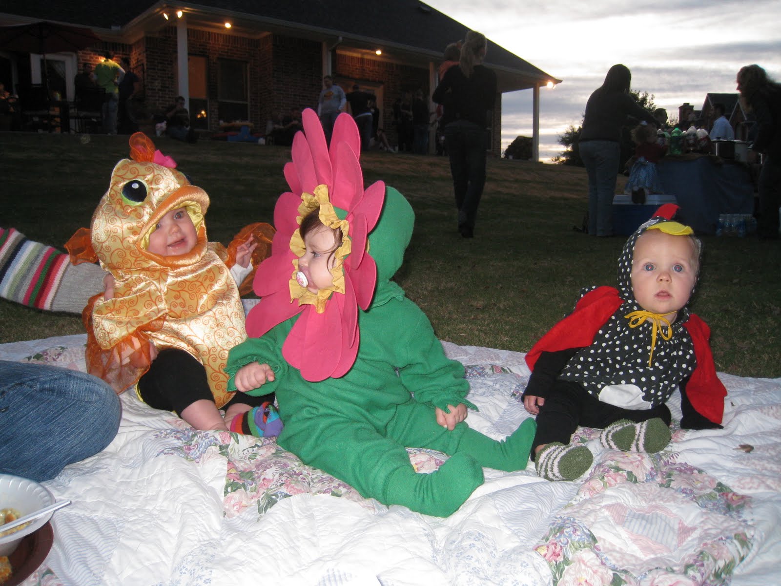 [November+4,+2009+004.JPG]