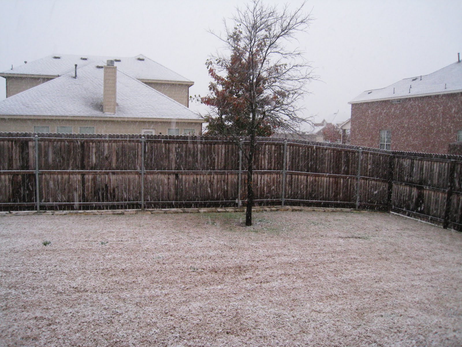 [December+8,+2009+537.JPG]