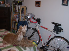 Tequila and the Bike