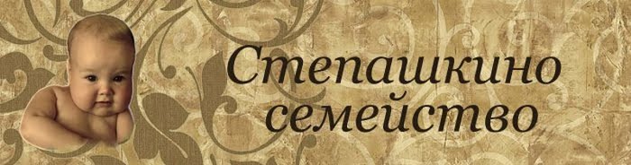 Степашкино семейство