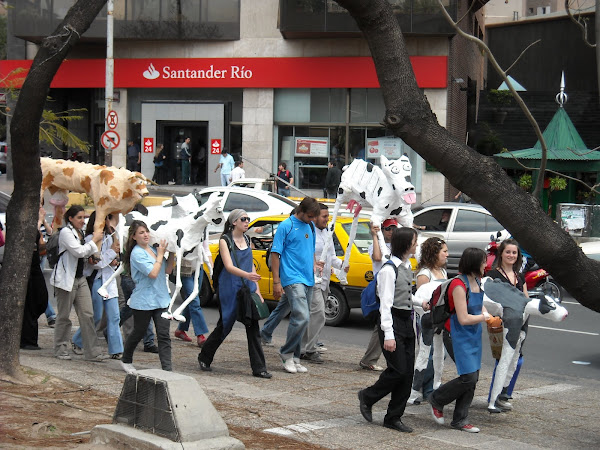 finalmente las sacamos a la calle