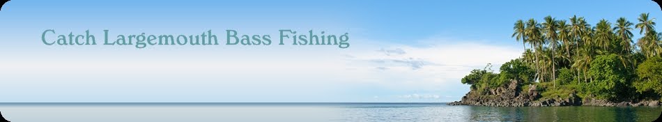 Catch Largemouth Bass Fishing