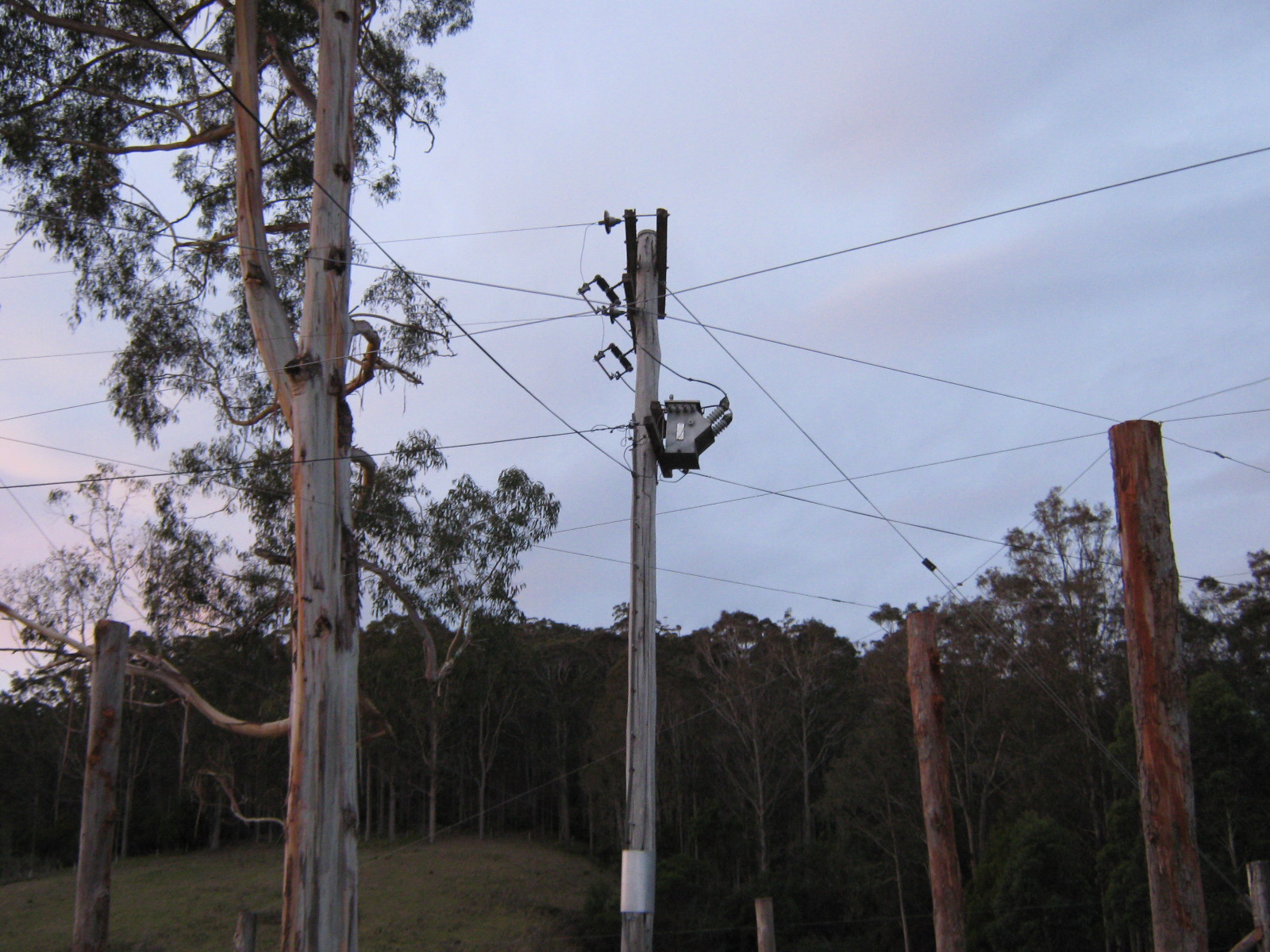 [9.+wired+poles+ready+for+net.JPG]