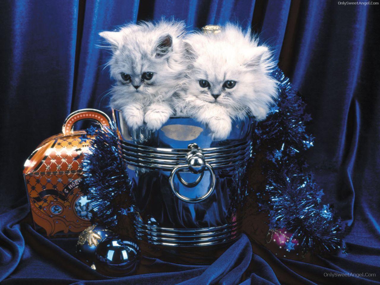 Christmas-New Year Wallpapers-06 ~ Only Sweet Angel