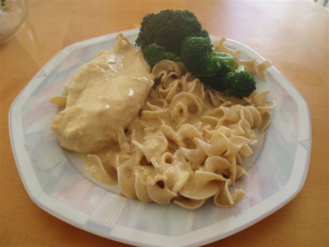 [chicken+stroganof.JPG]