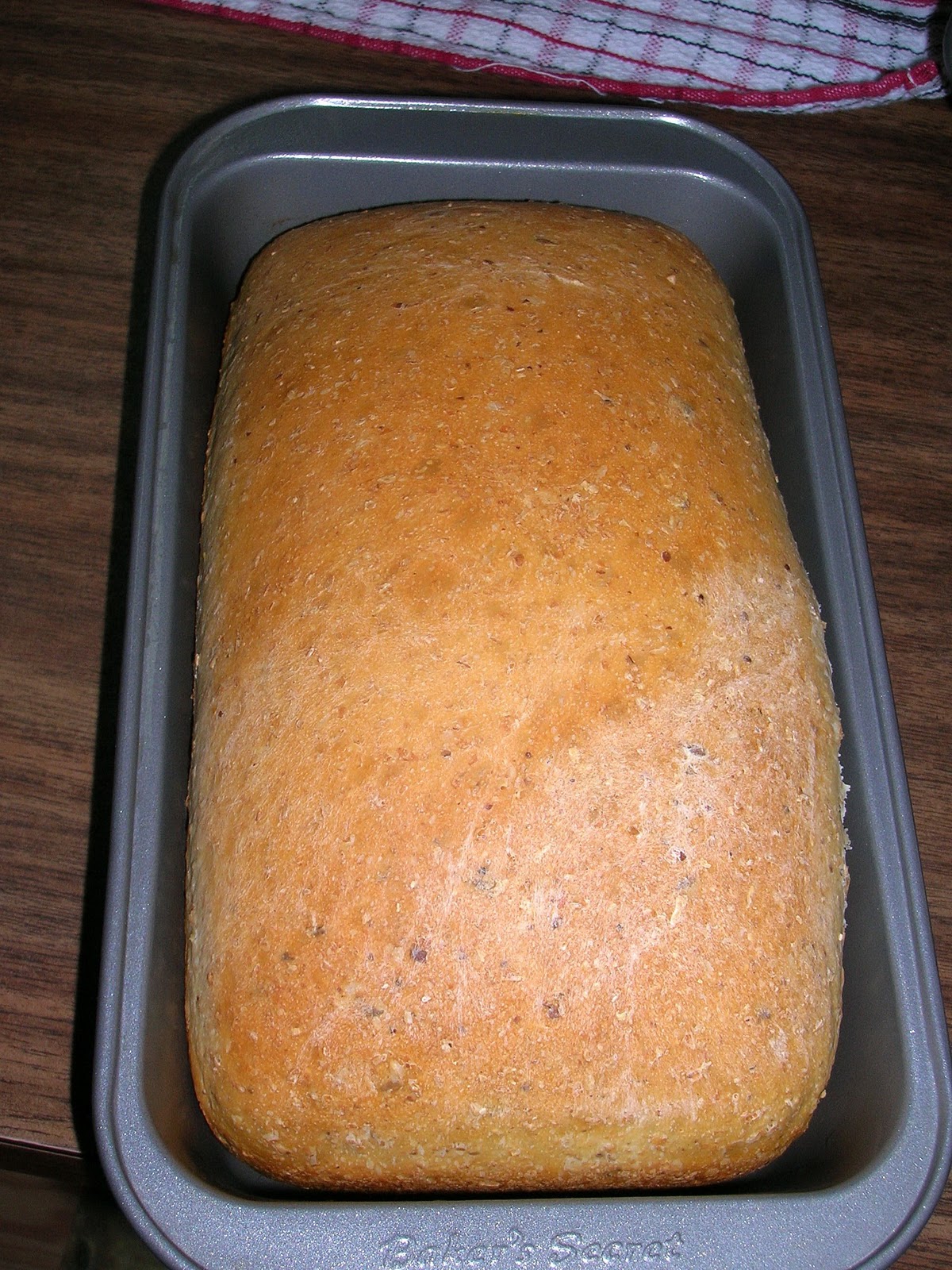 My Mountain Garden Gleanings Sourdough Applesauce Bread
