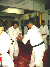 Shorinji Kempo practice