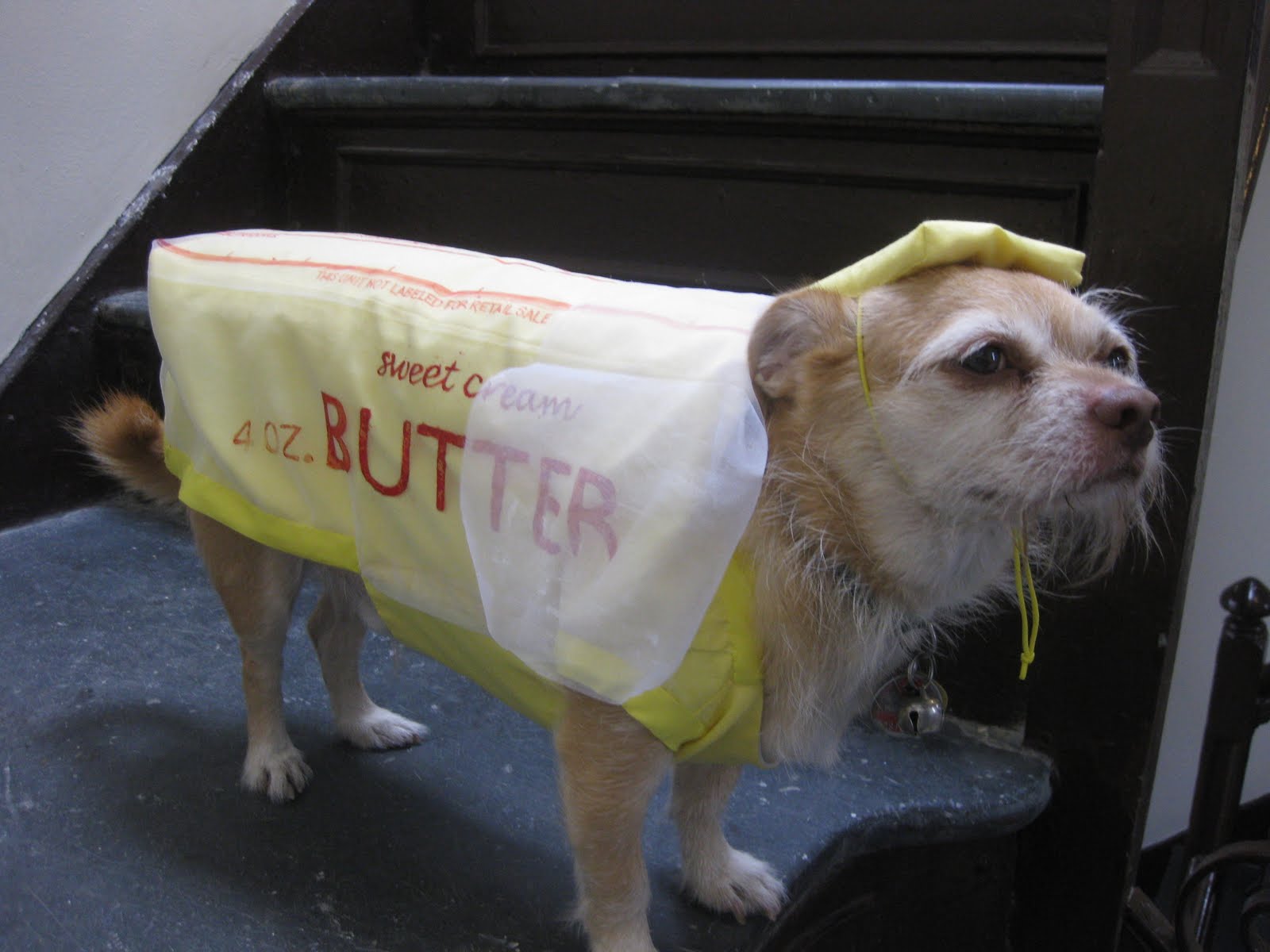 Manhattan Butterfly DRUM ROLL PLEASE....!!