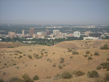 Boise from the top of my hill