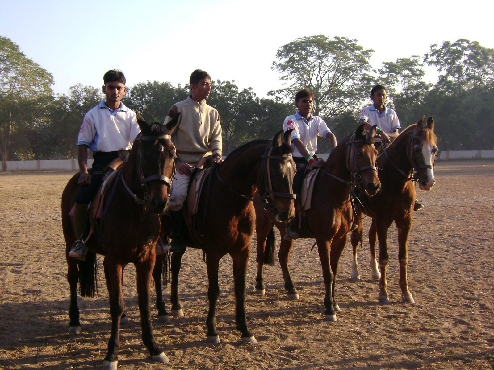 Horse Riding in India Gujarat Ahmedabad