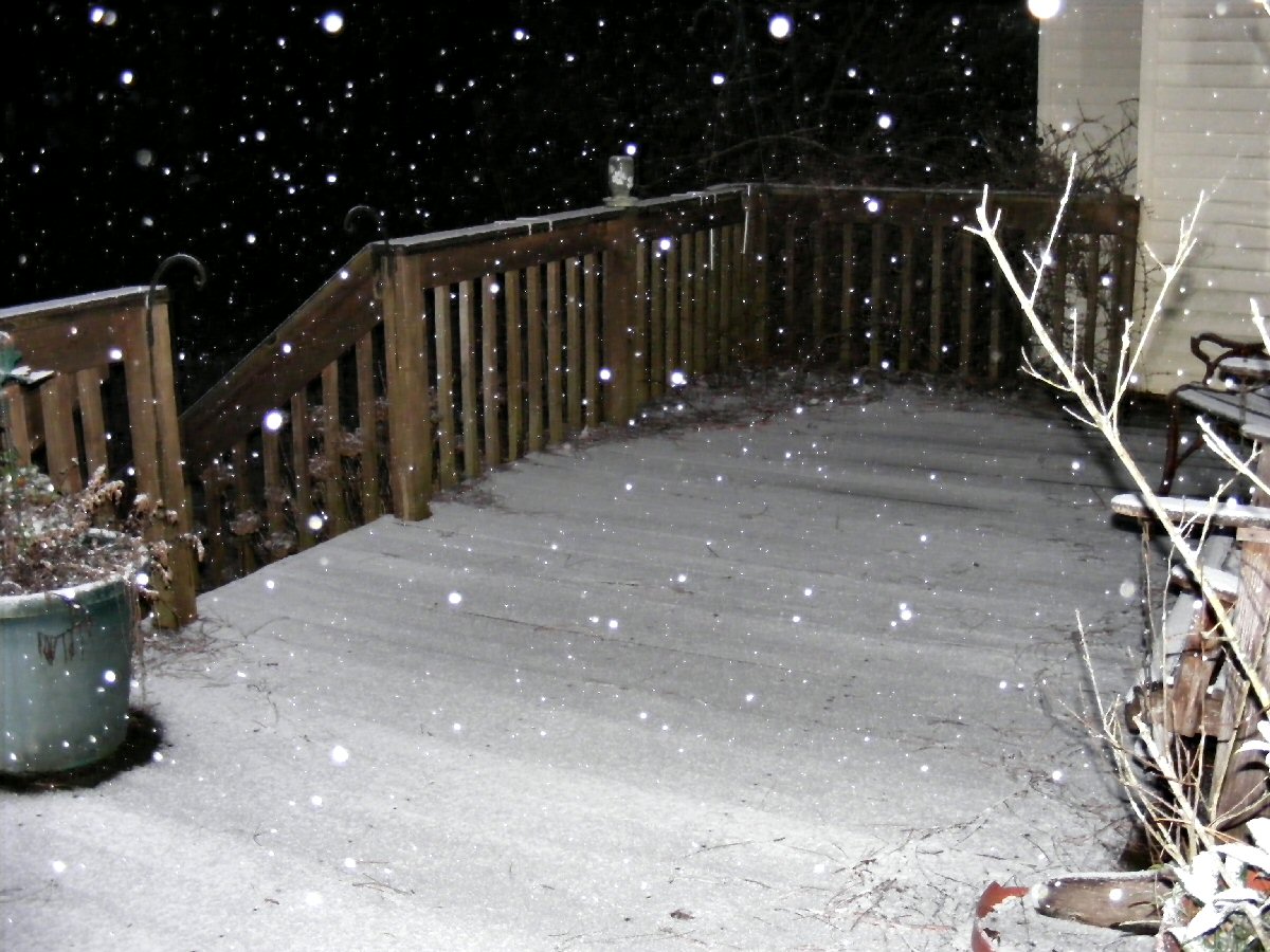 [snow+deck+2+1-20-09.jpg]