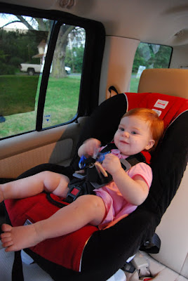 rumble seat for uppababy UPPAbaby Vista V2 Rumble Seat  Tadpole