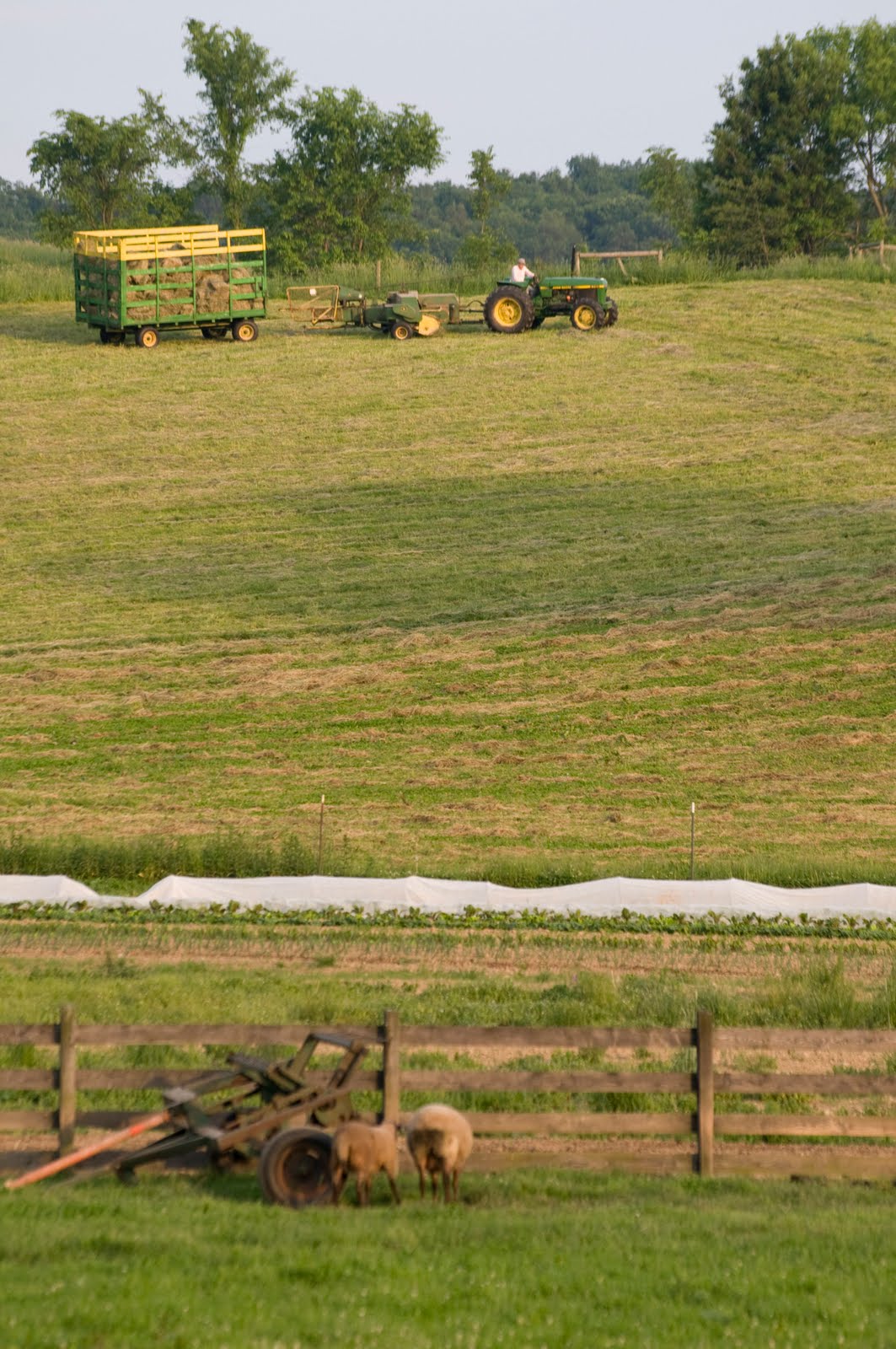 STEWARDS McAlevy's Fort, Pennsylvania Plowshare Produce, Micah and