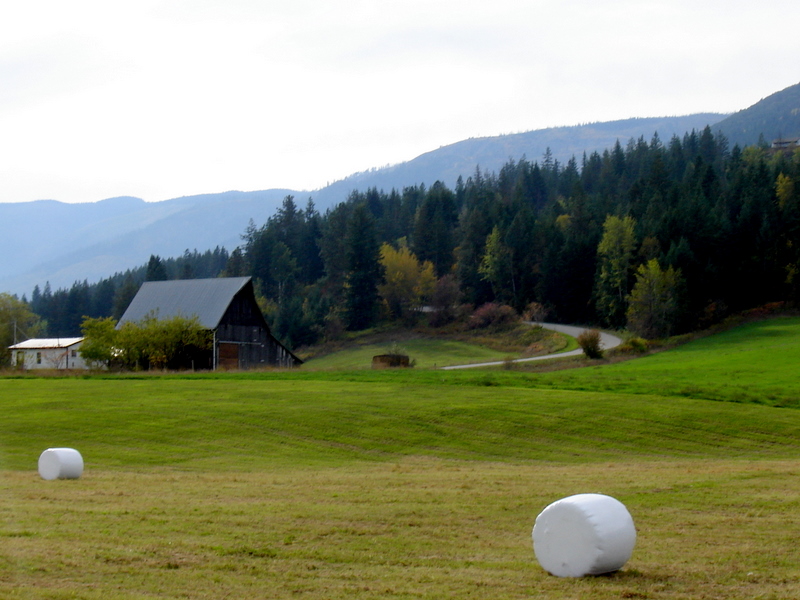 Country Mouse Studio Marshmallow Farming