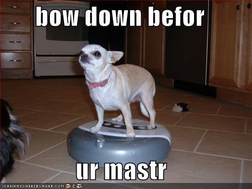 [bowdownmastr.jpg]