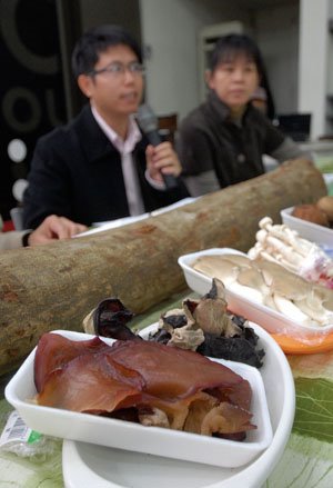 台灣取木養菇 經濟損失每年8.8億