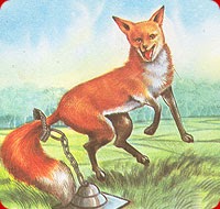นิทานภาษาอังกฤษแปลไทย (FUNNY FABLES): นิทานอีสปเรื่อง สุนัขจิ้งจอกหาง ... นิทานภาษาอังกฤษแปลไทย (Funny Fables): นิทานอีสปเรื่อง สุนัขจิ้งจอกหาง ...