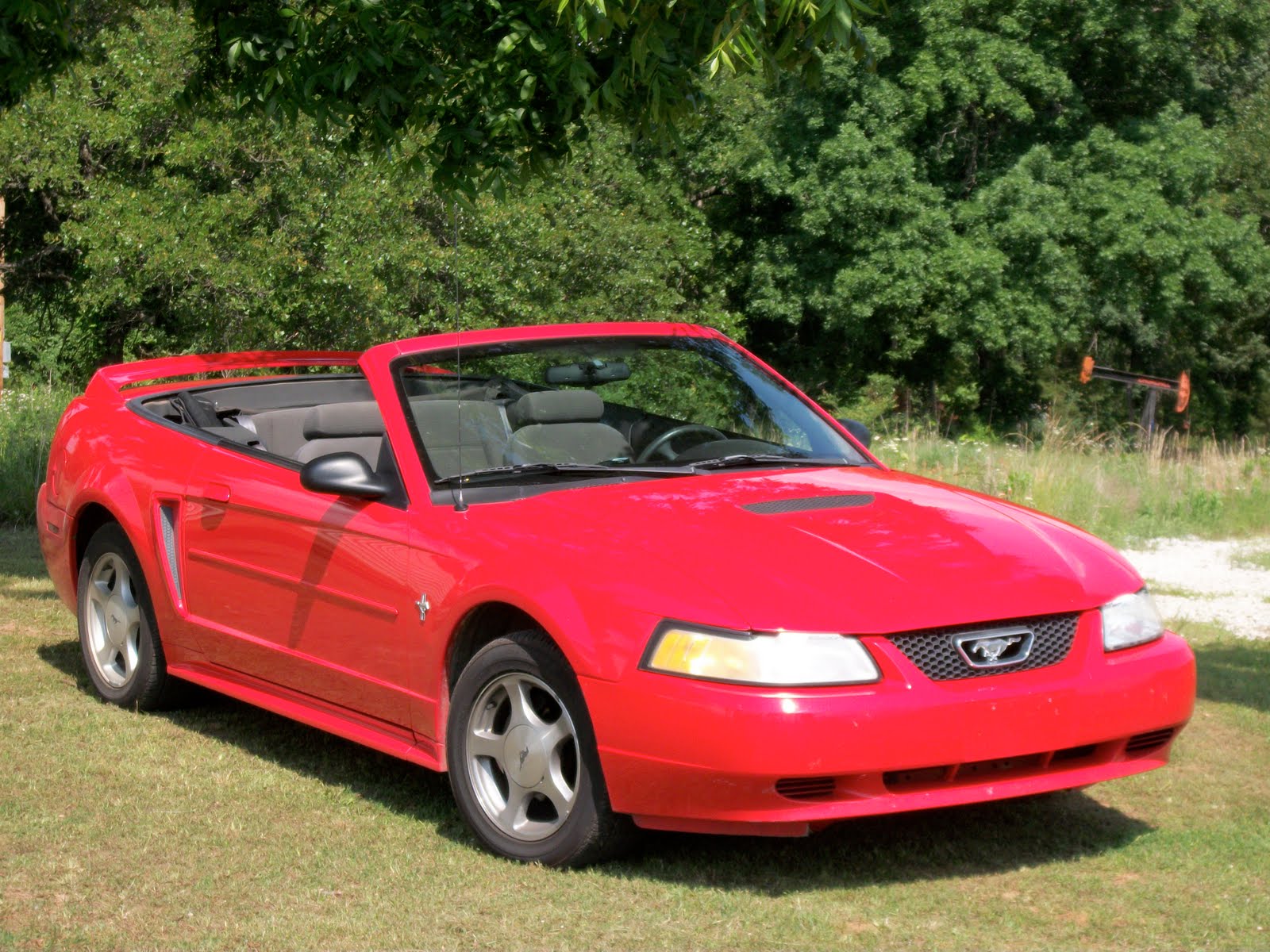2000 Convertible Mustang