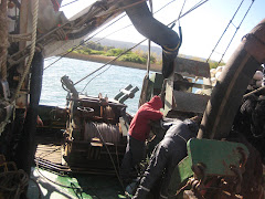Barco Constitución cargando sardinas a un camión