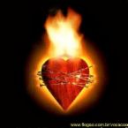 [8c6302b14a969f76.jpg]