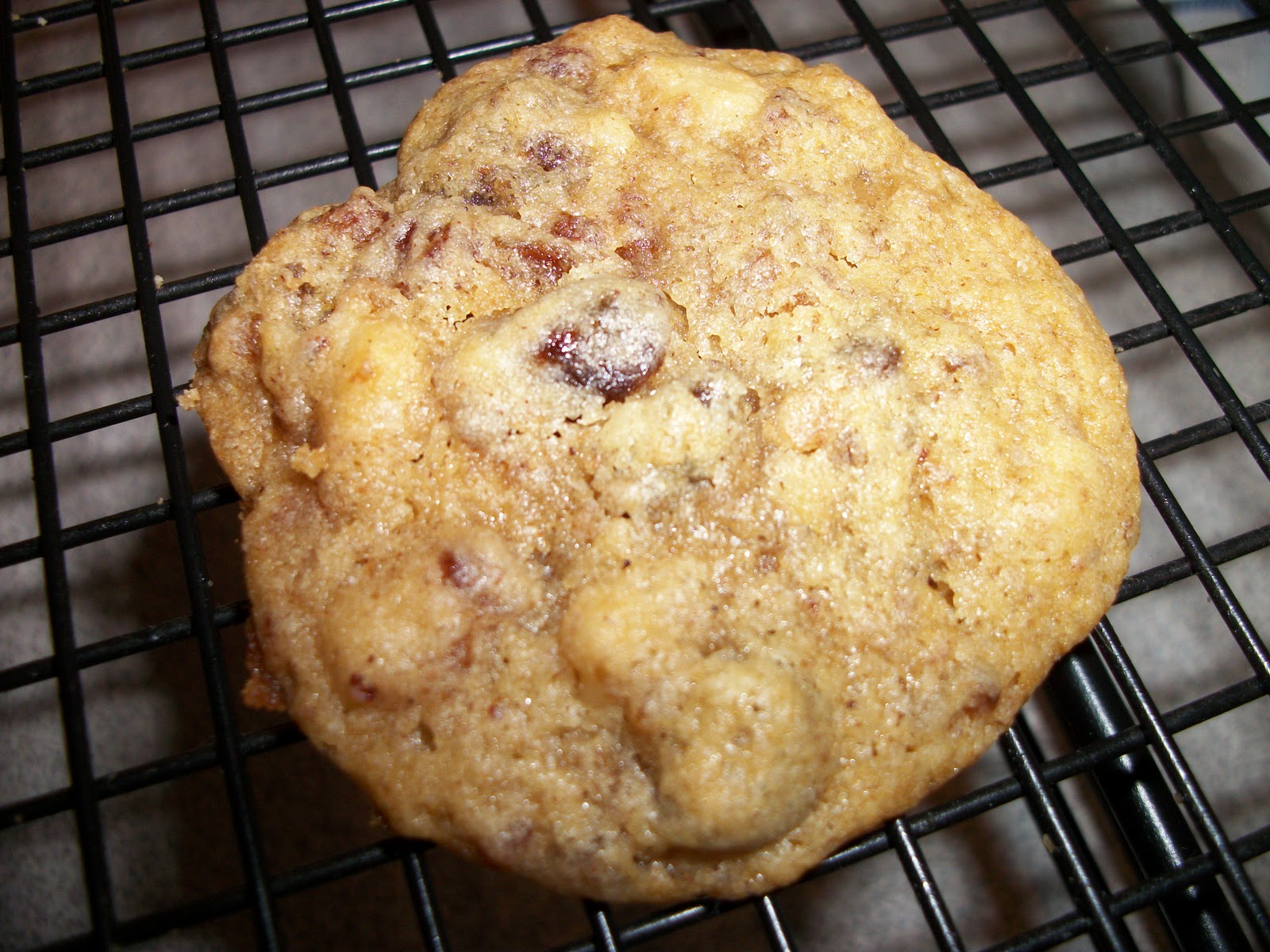 Colletta's Kitchen Sink Rich Date and Walnut Cookies