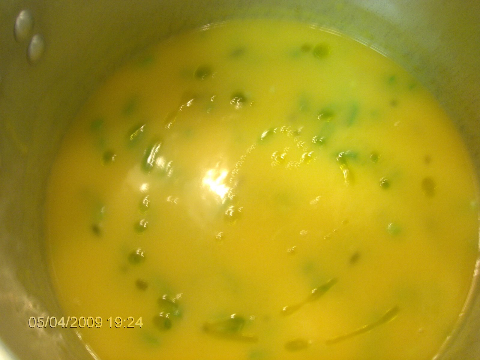 [novas+fotos+090.jpg]