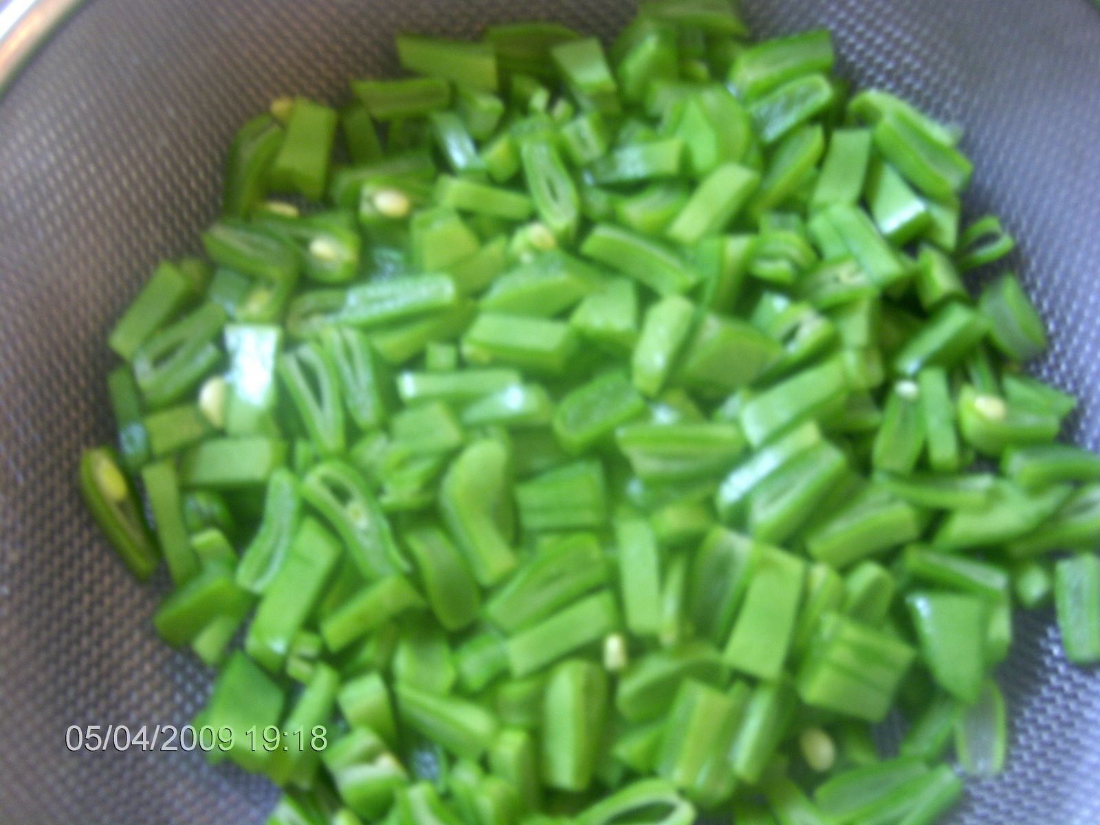 [novas+fotos+088.jpg]