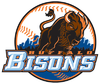 [Mets+-+Buffalo+logo.png]