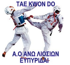 tae kwon do ΑΝΩ ΛΙΟΣΙΩΝ