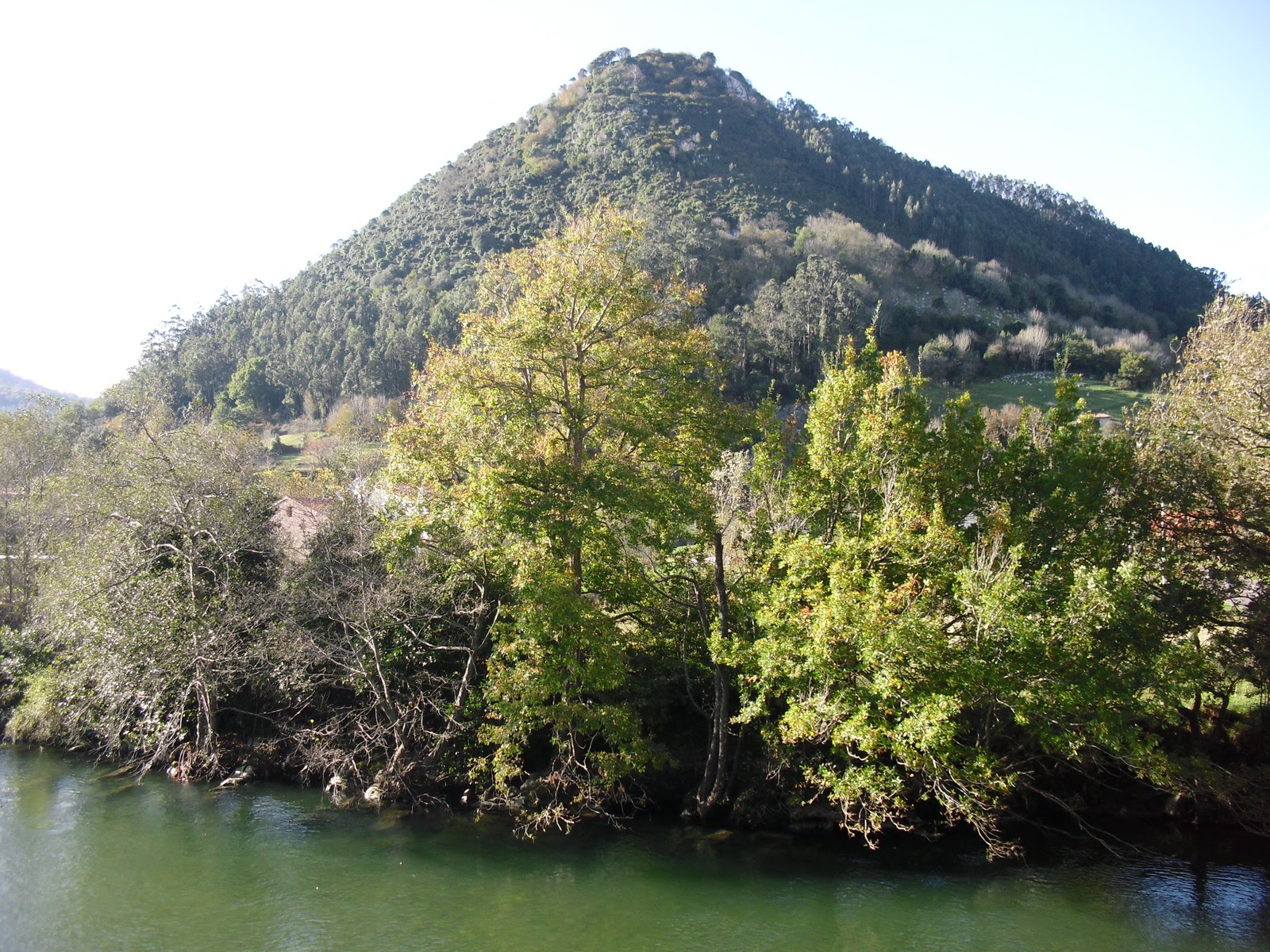 la ciudad habla PASEO POR PUENTE VIESGO