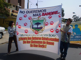 PROTESTA EN SAN BORJA POR GRINGO